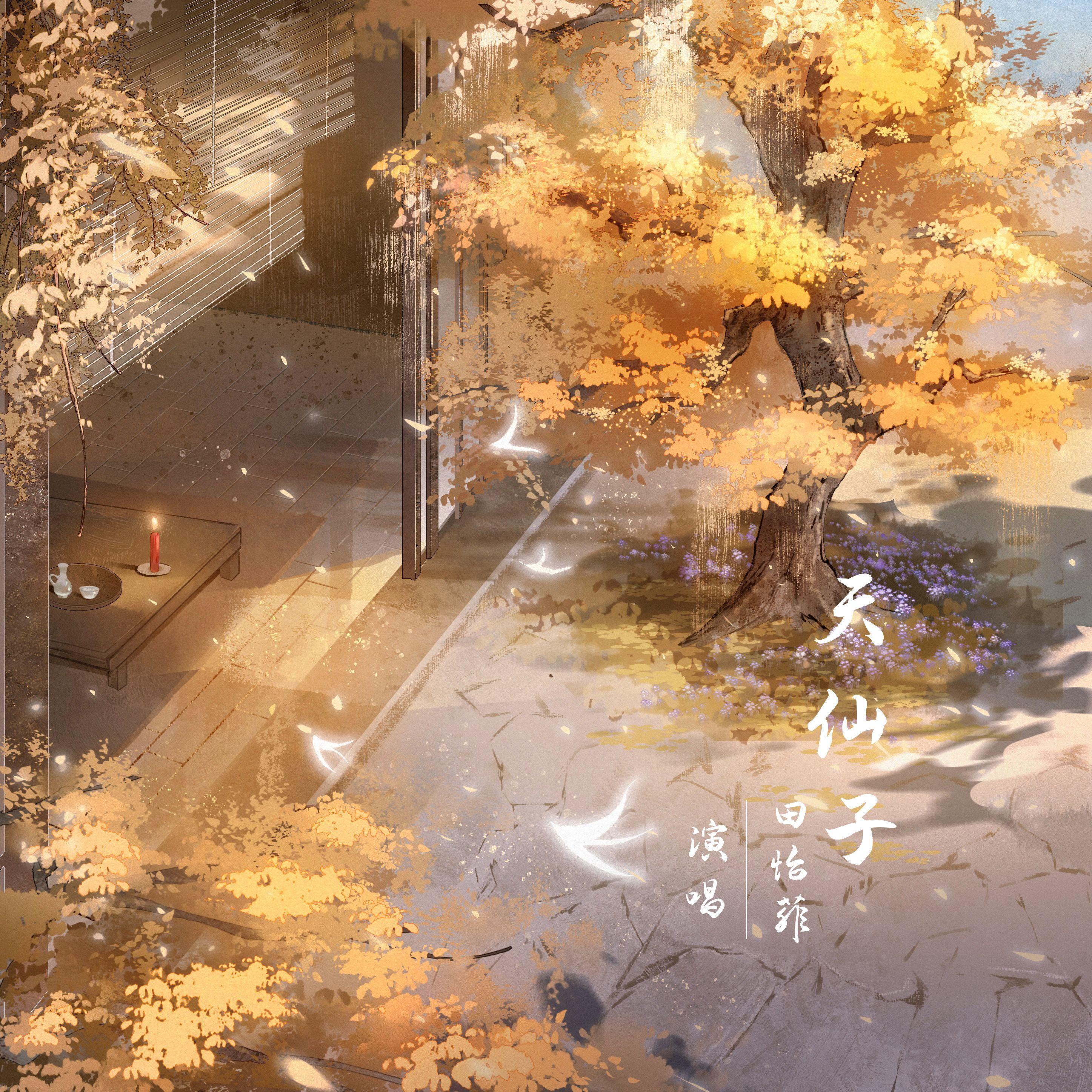 天仙子（伴奏）封面