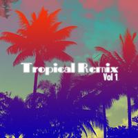 Tropical Remix, Vol. 1