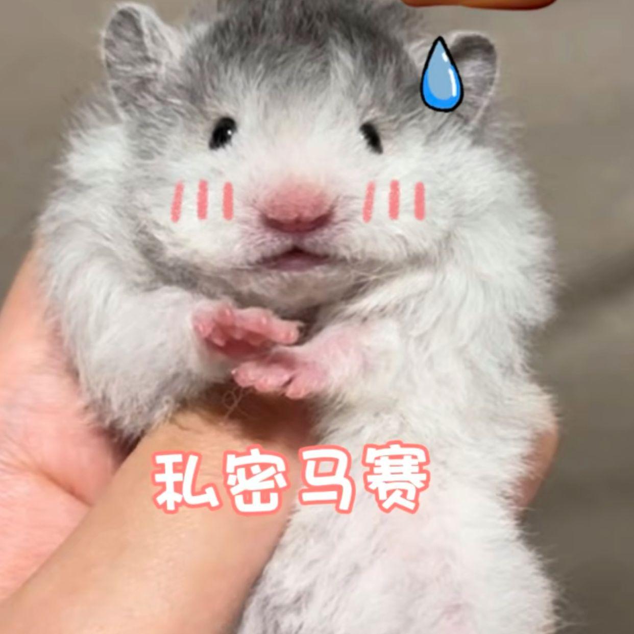 同桌的你封面