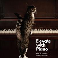 Elevate with Piano: Reflective Pet Tranquility