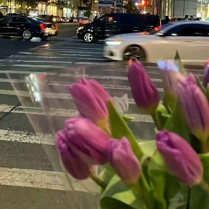 再见，我的星辰