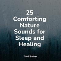 25 Comforting Nature Sounds for Sleep and Healing