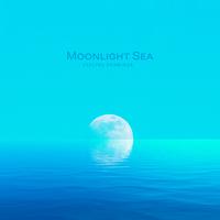 Moonlight Sea