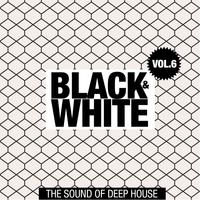 Black & White, Vol. 6