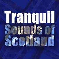 Tranquil Sounds of Scotland