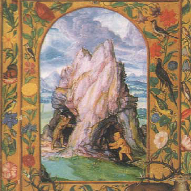 The Construction Of The A.N.T.I. Cage