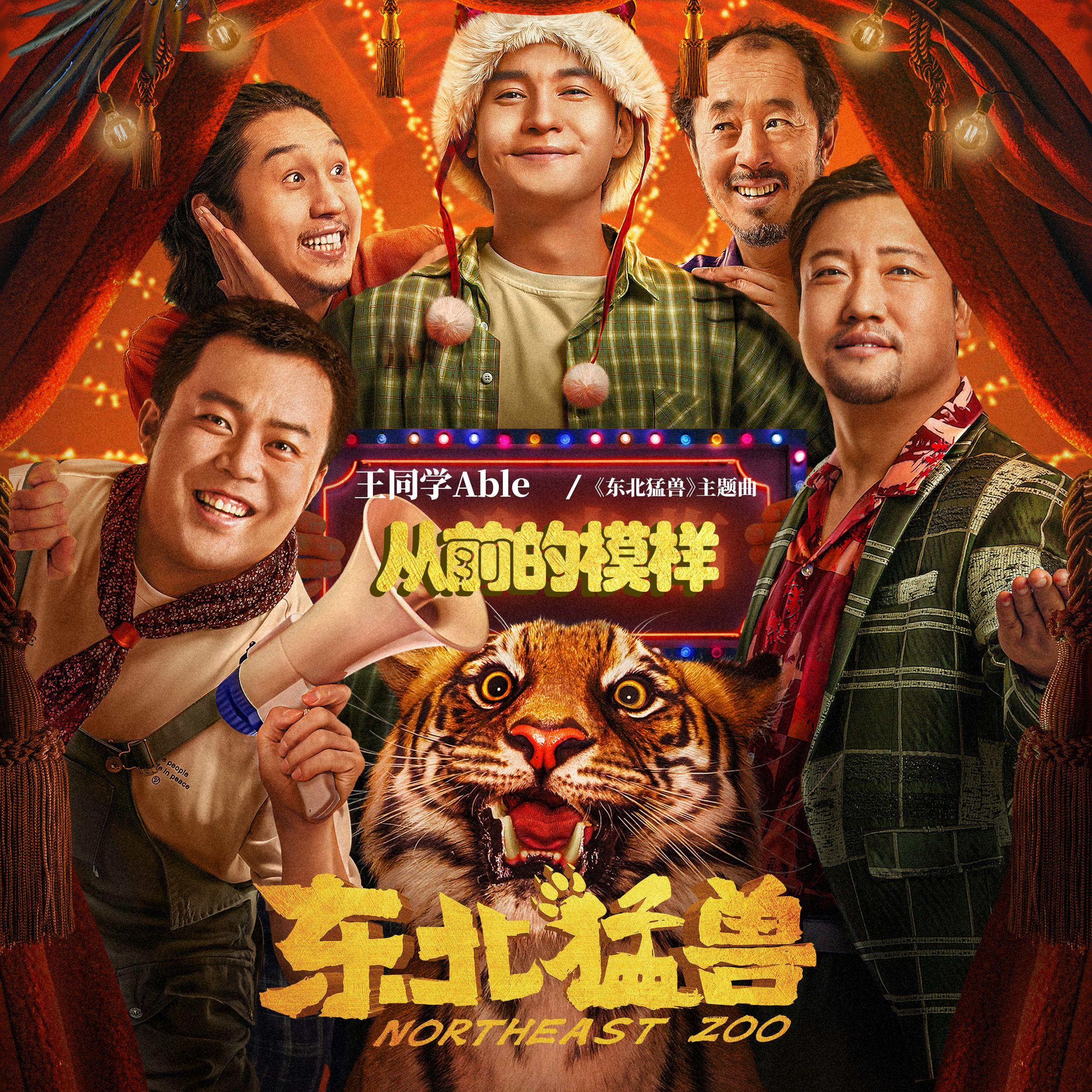 从前的模样封面