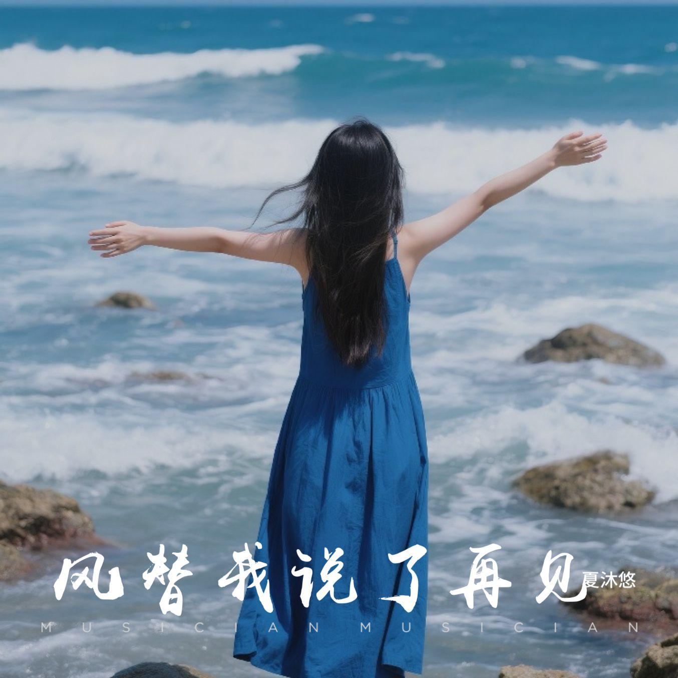 风替我说了再见封面