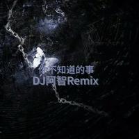 你不知道的事(DJ阿智Remix)