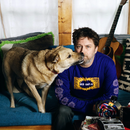 Six Organs of Admittance
