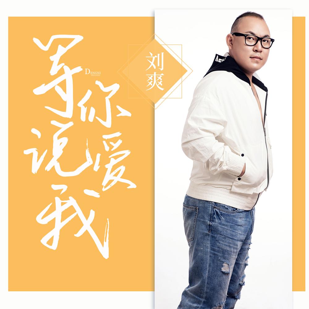 等你说爱我封面