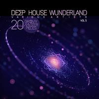 Deep House Wunderland, Vol. 5 (20 Groovy Master Pieces)