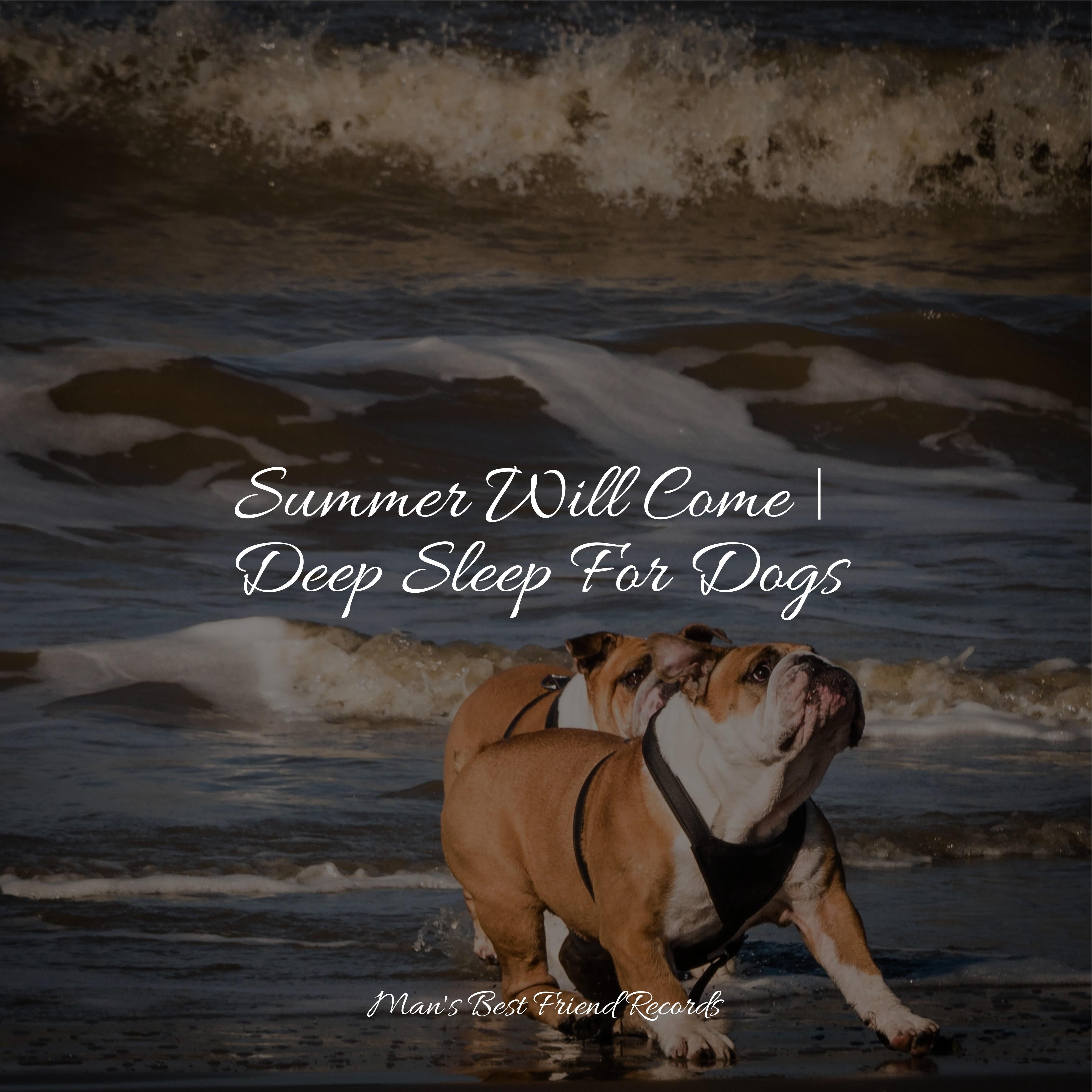 Lucid Jazz Music Therapy for Dogs/Relaxmydog/Jazz Music for Dogs 单曲