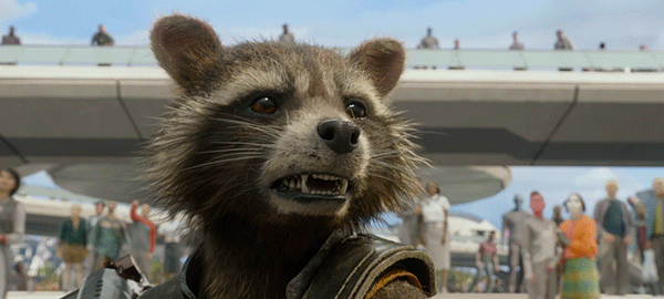 火箭浣熊