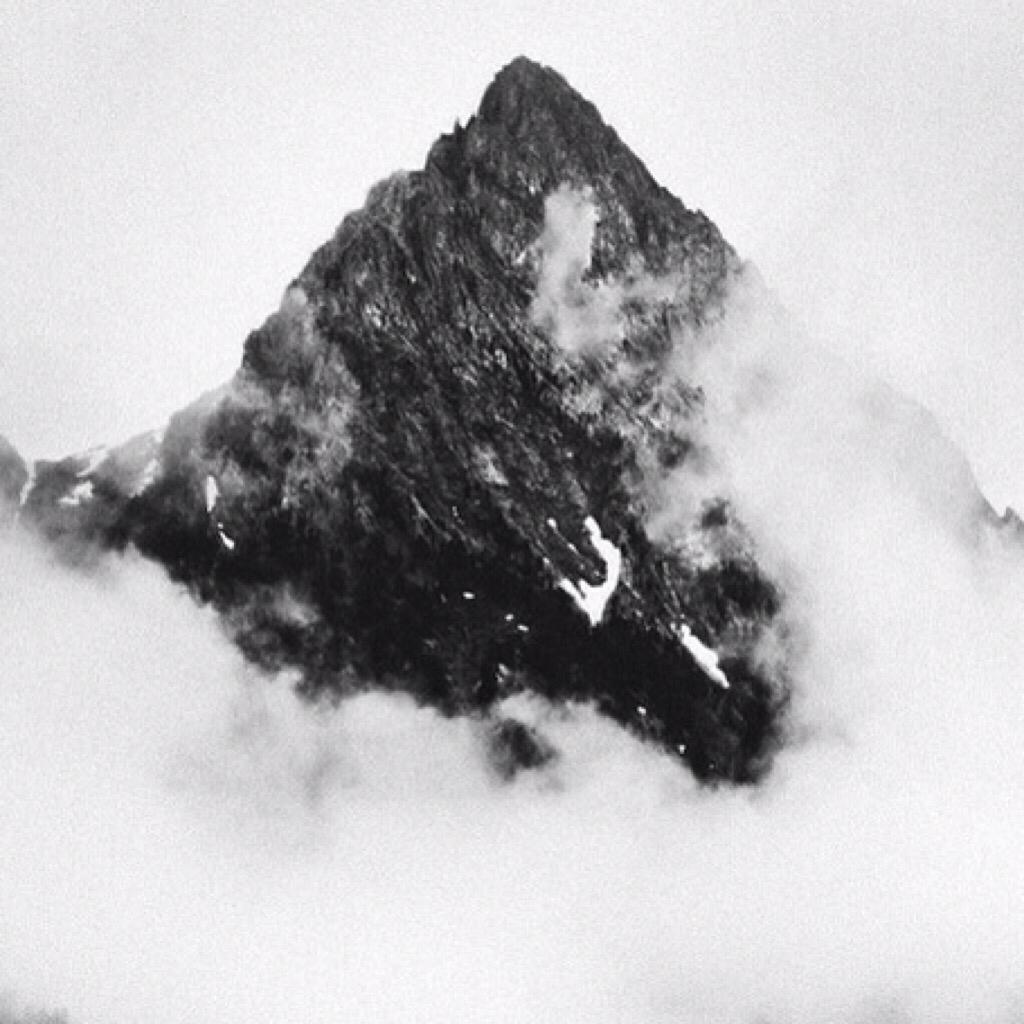 2 0 1 6 F o r e s t H i l l s.