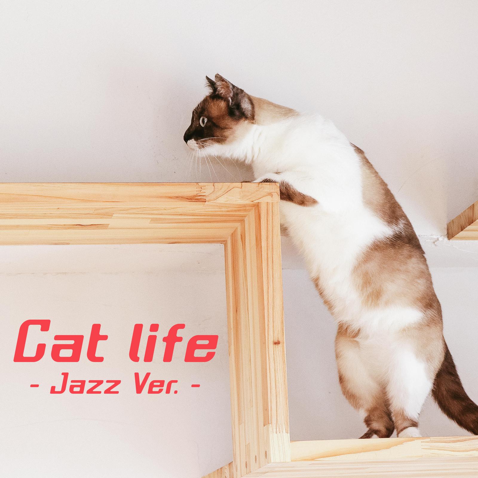 Cat life (Jazz Ver.)