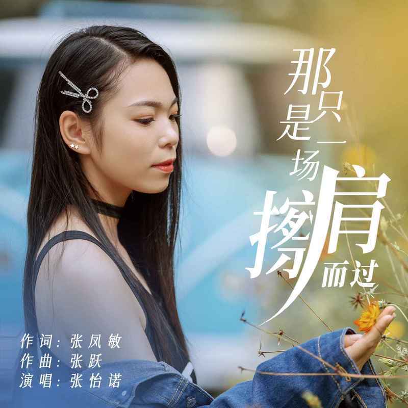 那只是一场擦肩而过 (DJ版)封面