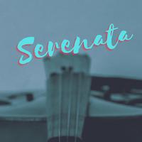 Serenata String Orchestra资料,Serenata String Orchestra最新歌曲,Serenata String OrchestraMV视频,Serenata String Orchestra音乐专辑,Serenata String Orchestra好听的歌