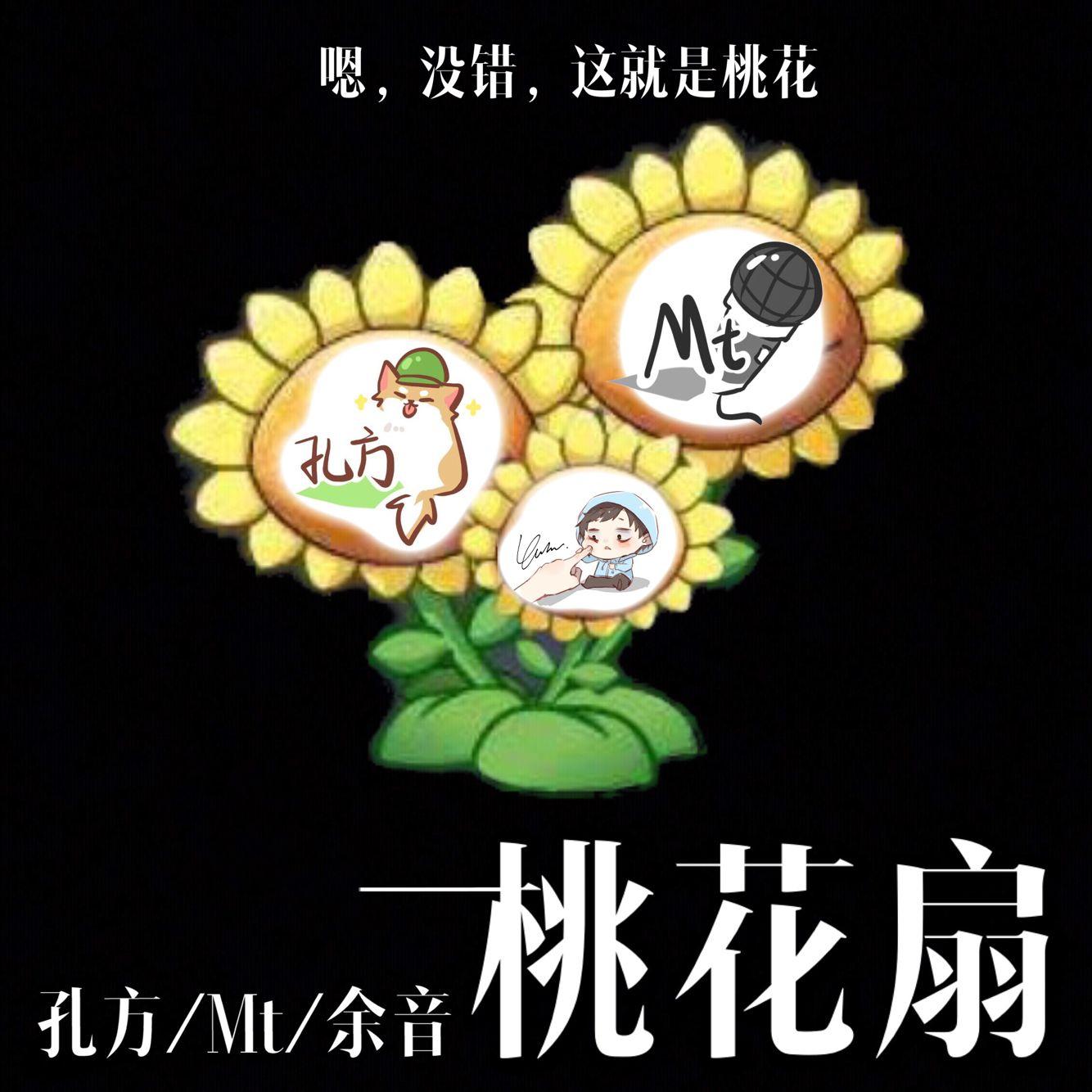 桃花扇封面