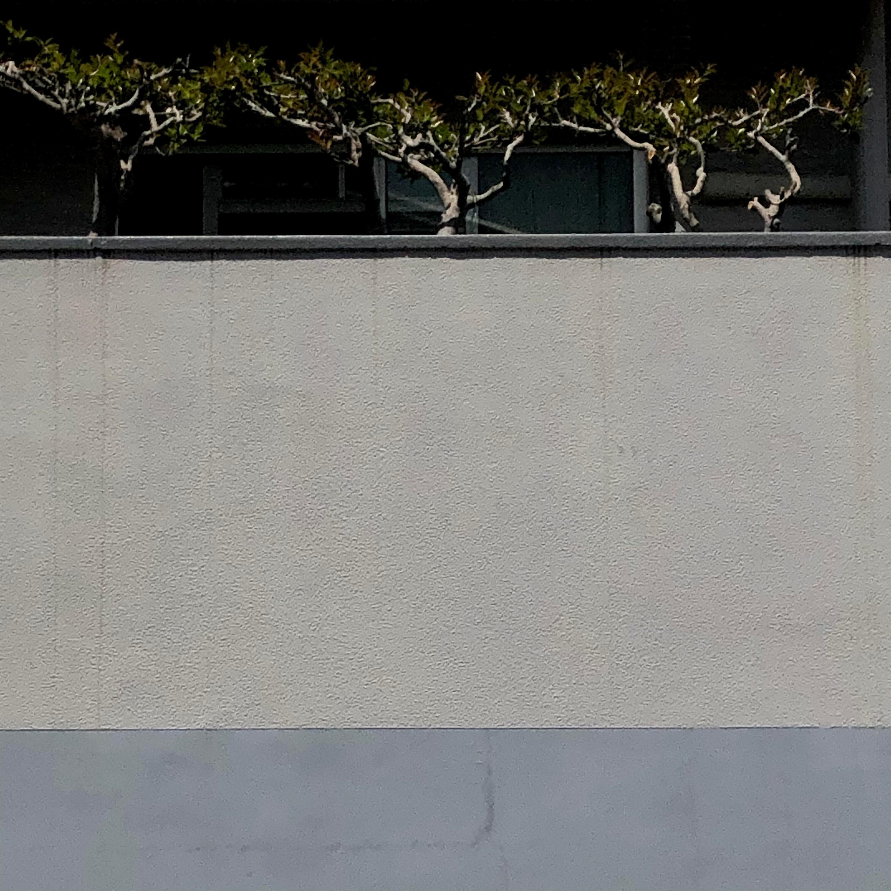 Die Karpfen Streamer