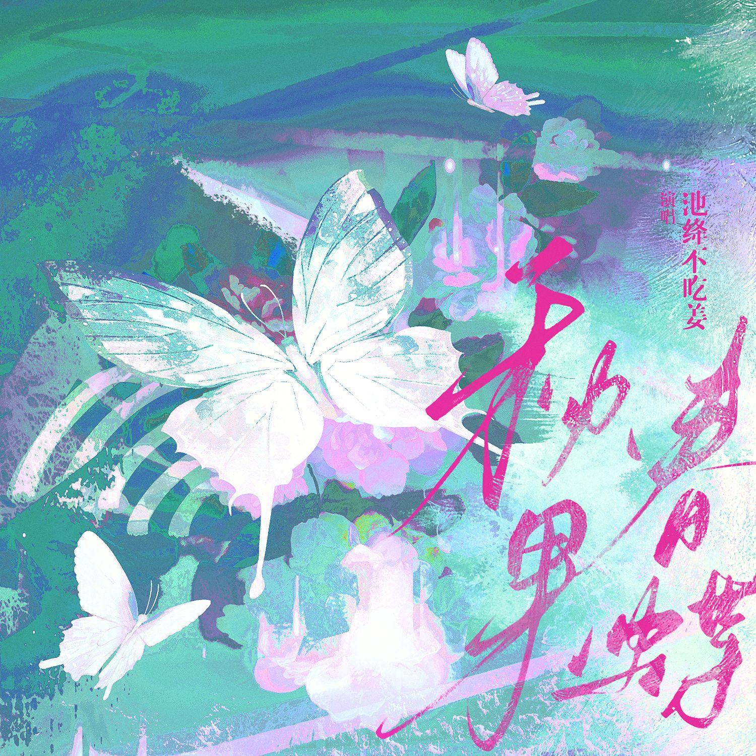 秋果春蝶 伴奏封面