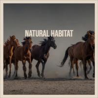 Natural Habitat