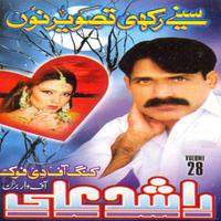 Sinay Rakhi Tasweer Nu, Vol. 28