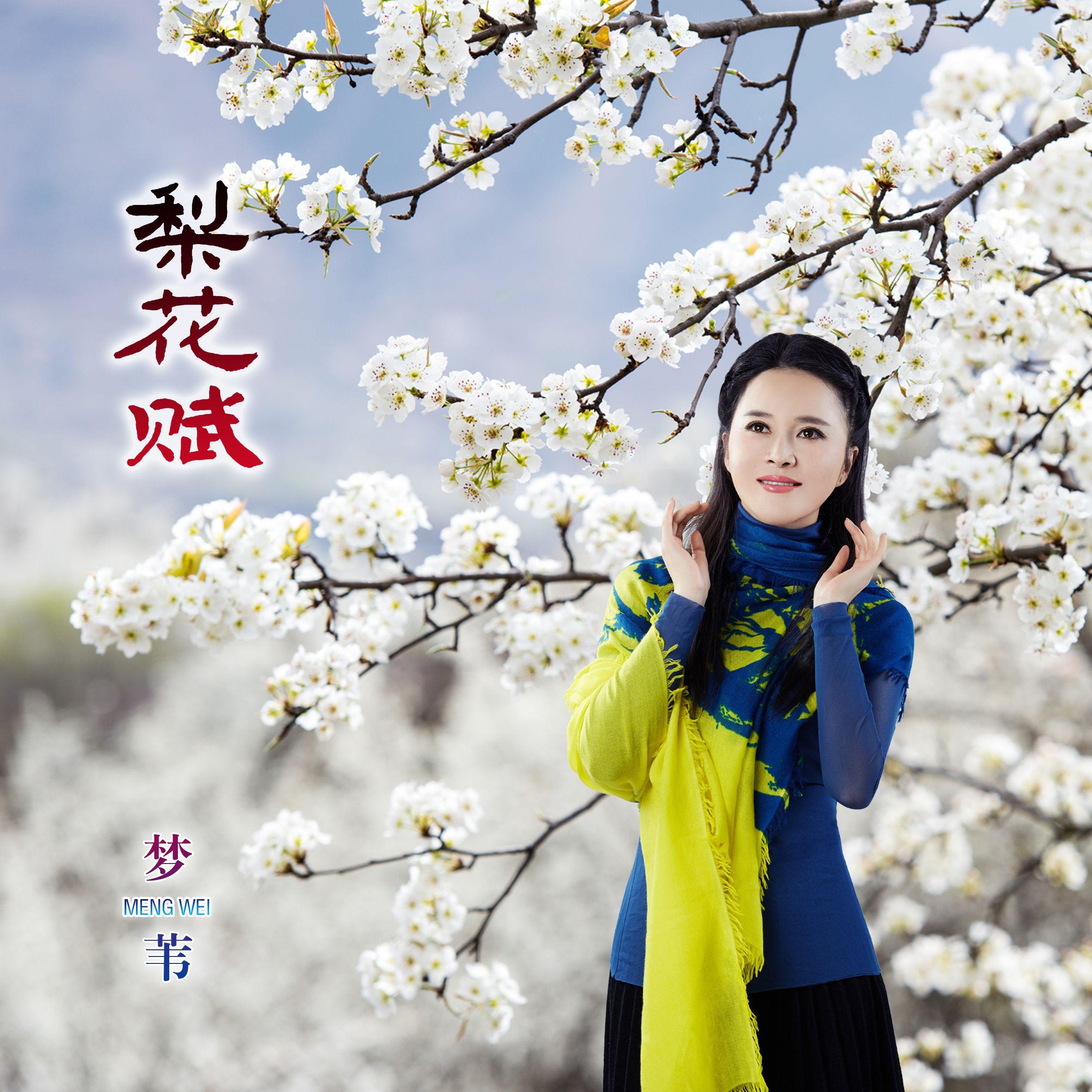 梨花赋封面