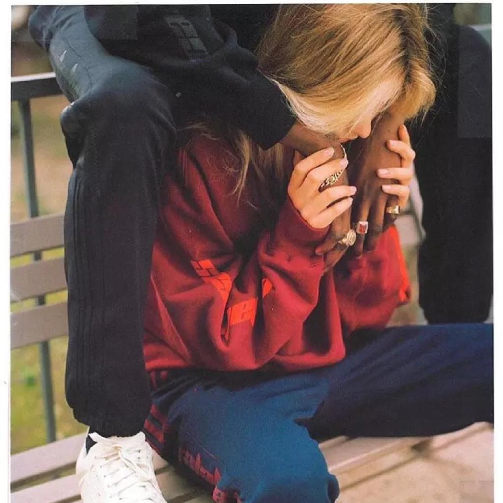 fox capture plan（cover）