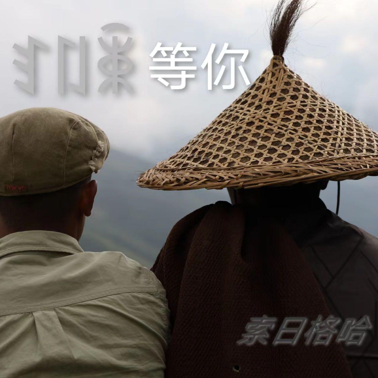 黑颈鹤飞过的季节封面
