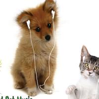 World Pet Music