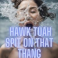 Hawk Tuah