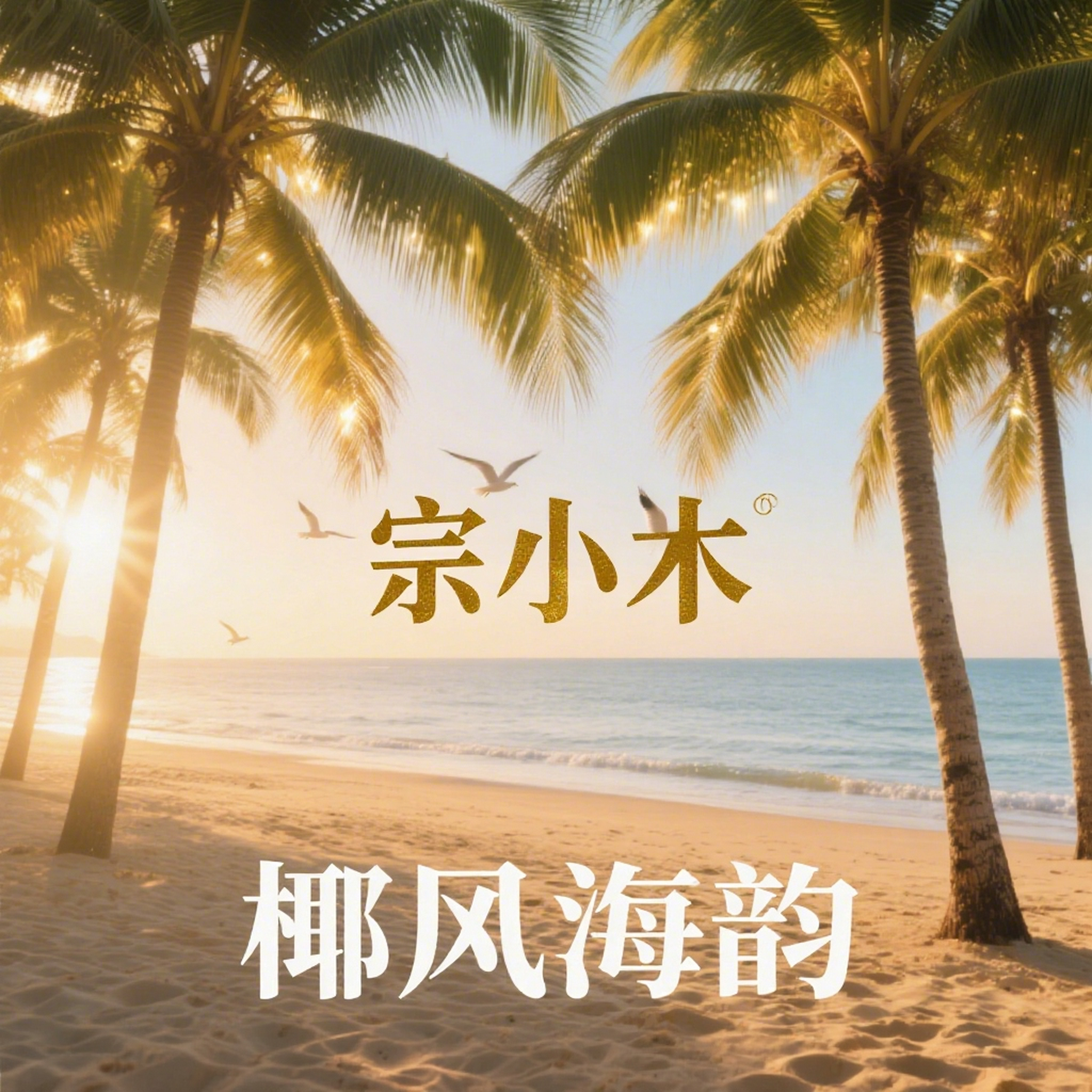 椰风海韵 伴奏封面