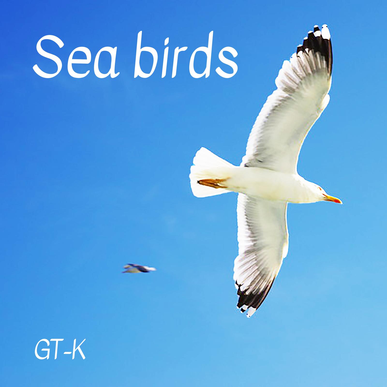 Sea birds