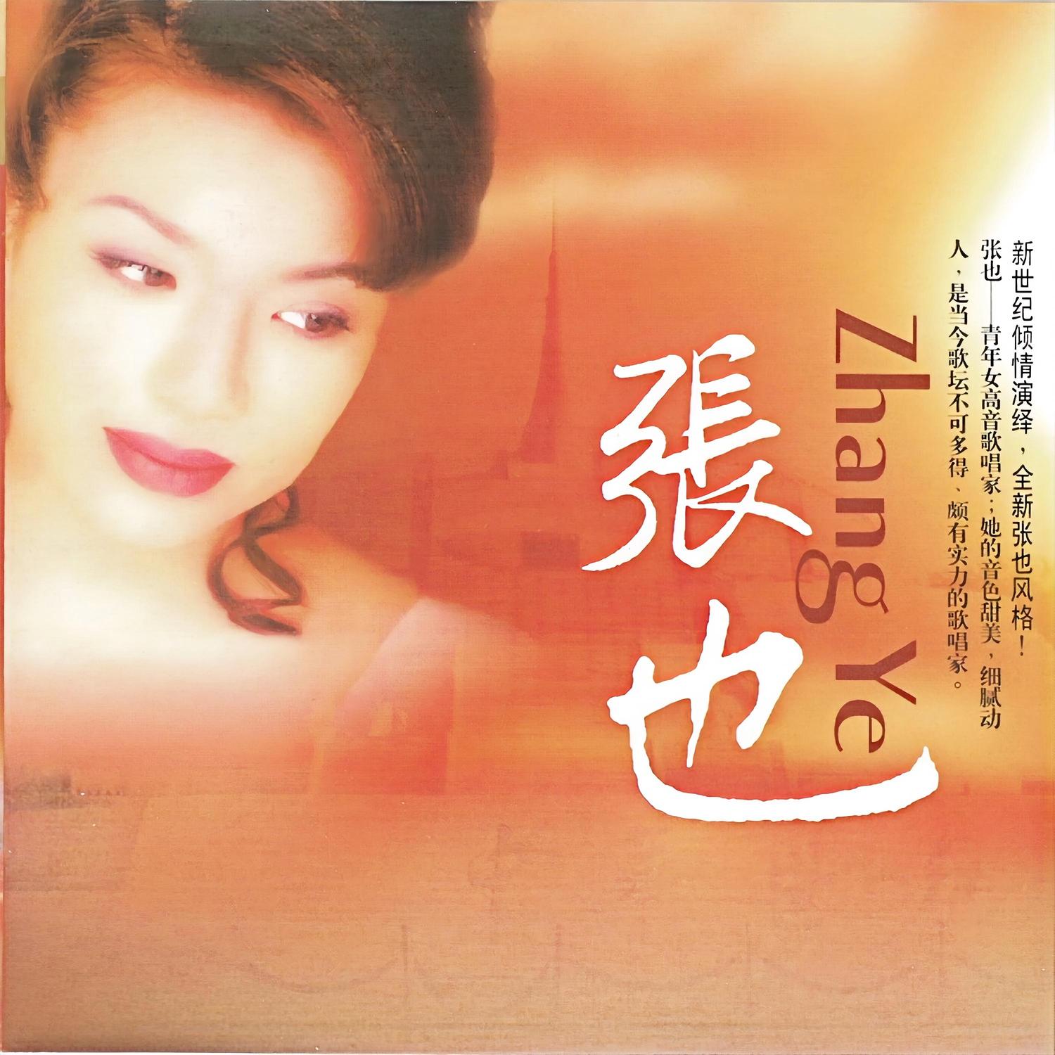 在希望的田野上 (伴奏)封面