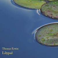 Lilypad