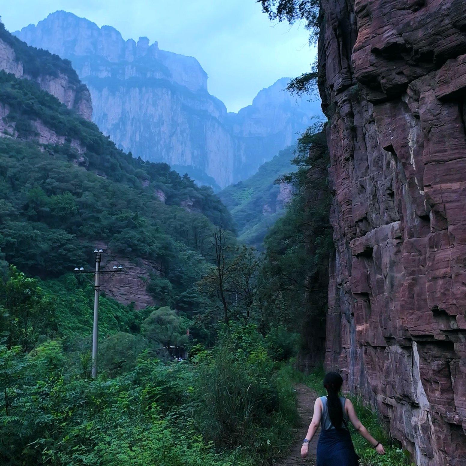 同花顺（Cover.林倛玉）