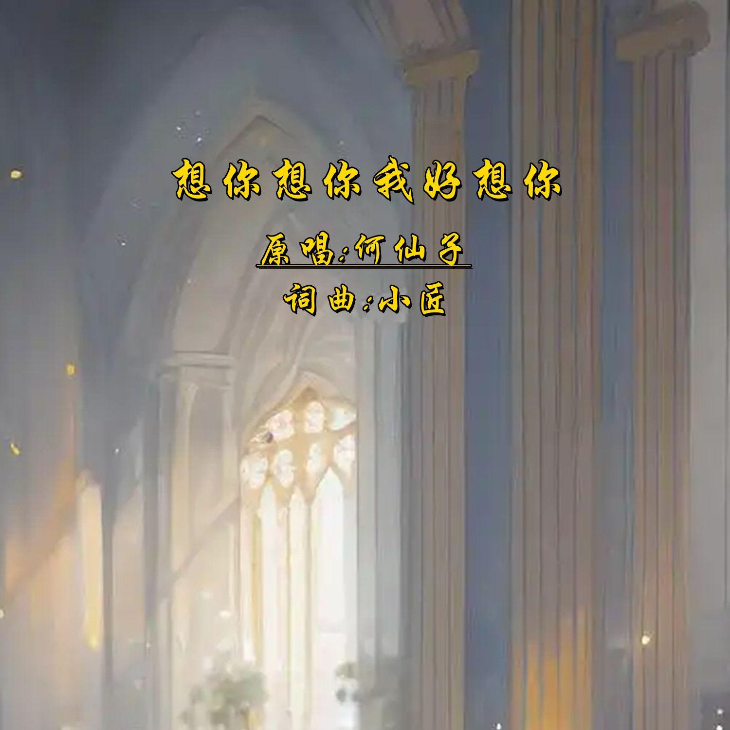 想你想你我好想你DJ封面