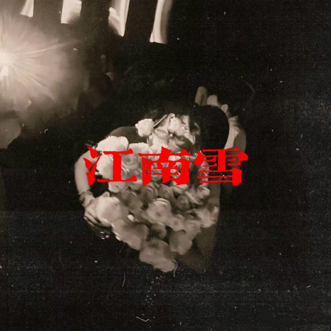 江南雪 - 梦境里的算法封面