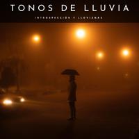 Tonos De Lluvia: Introspección Y Lloviznas