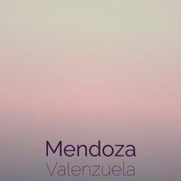 Mendoza Valenzuela