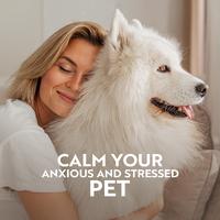 Calm Your Anxious and Stressed Pet