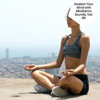 Awaken Your Mind With Meditation Sounds, Vol. 08