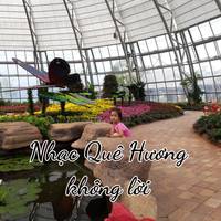 NHẠC QUÊ HƯƠNG KHÔNG LỜI (Hoà Tấu)