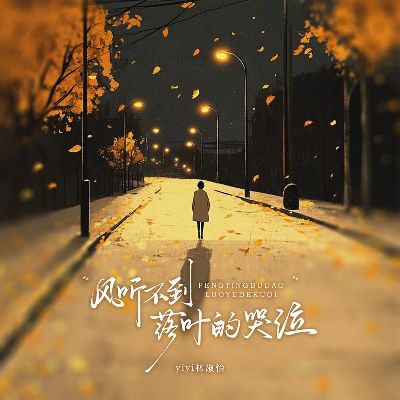 风听不到落叶的哭泣封面