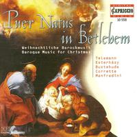 CHRISTMAS BAROQUE MUSIC - ESTERHAZY, P. / TELEMANN, G.P. / CORRETTE, M. / MANFREDINI, F.O. / BUXTEHUDE, D. / CASA, F.