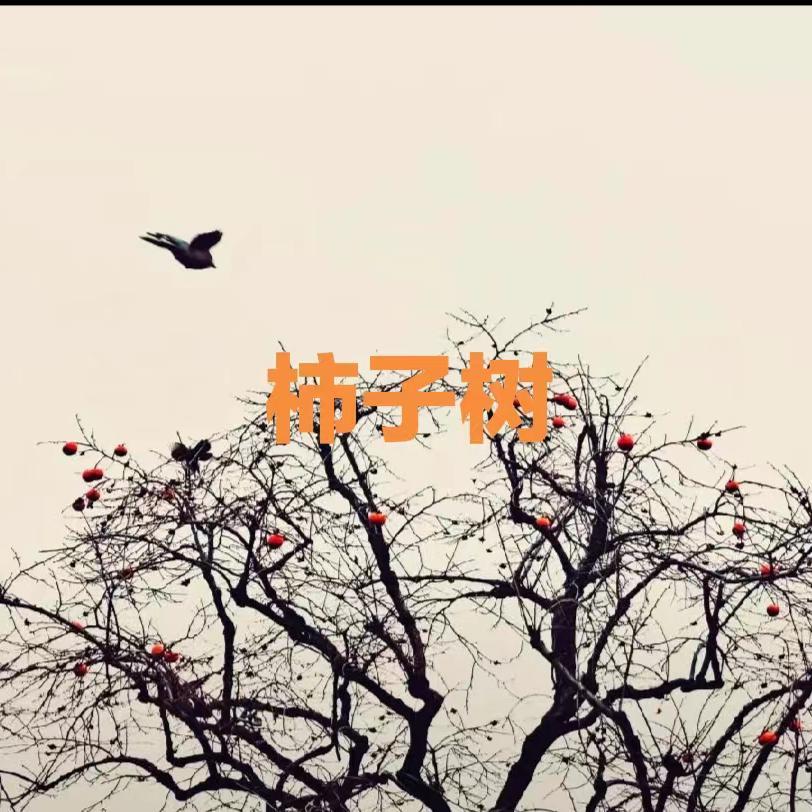 song-img