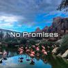 7ouTp - Cheat Codes-No Promises（HEYICHEN / 7unknown remix）