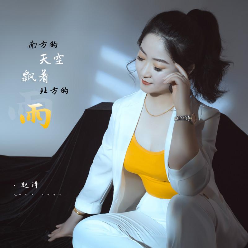 南方天空飘着北方的雨封面