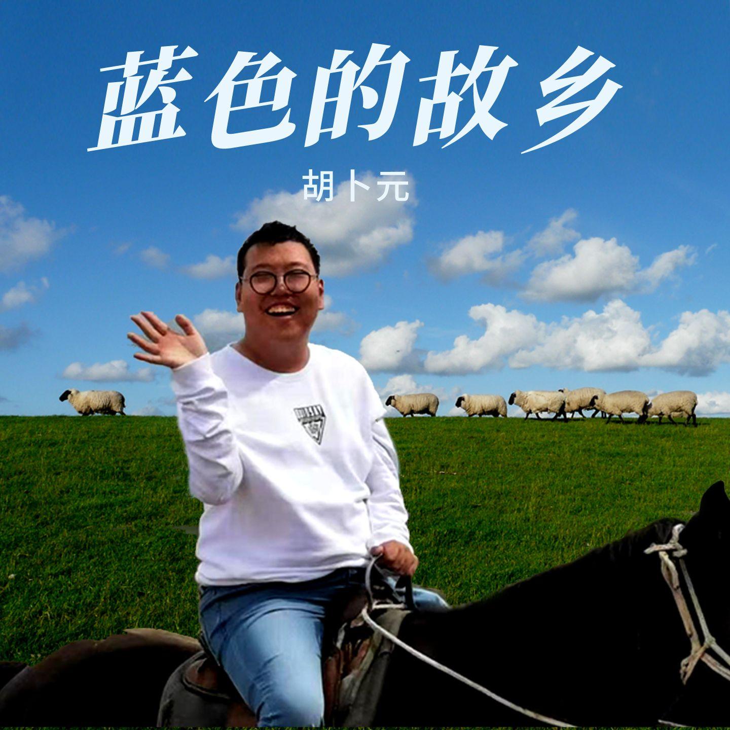 蓝色的故乡（伴奏）封面